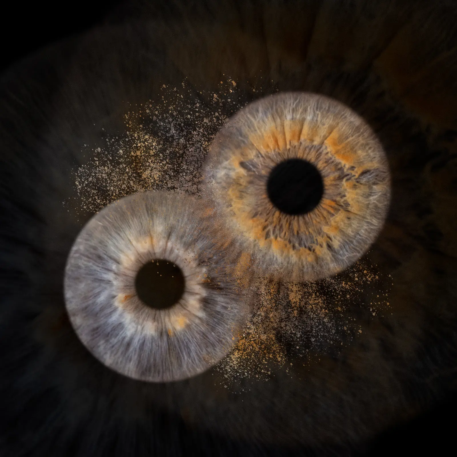 Irisfotografie aus dem IRIS Studio Braunschweig